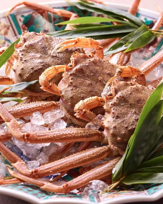 回响套餐